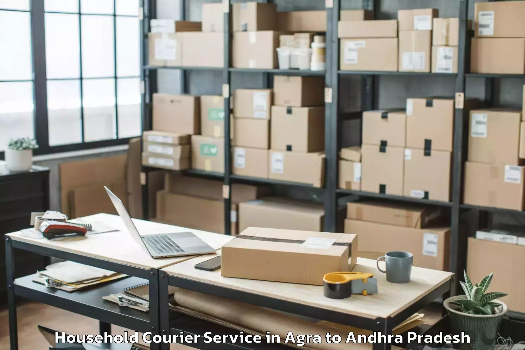 Professional Agra to Tenali Household Courier